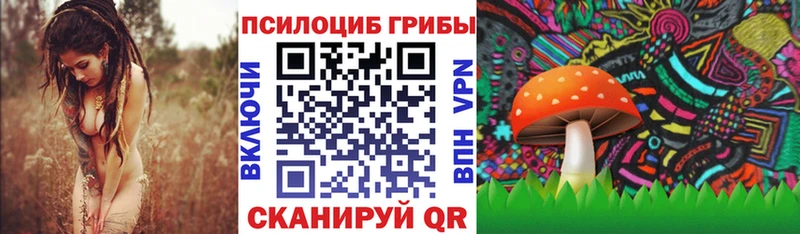 цены наркотик  Спасск-Рязанский  Галлюциногенные грибы Psilocybine cubensis 